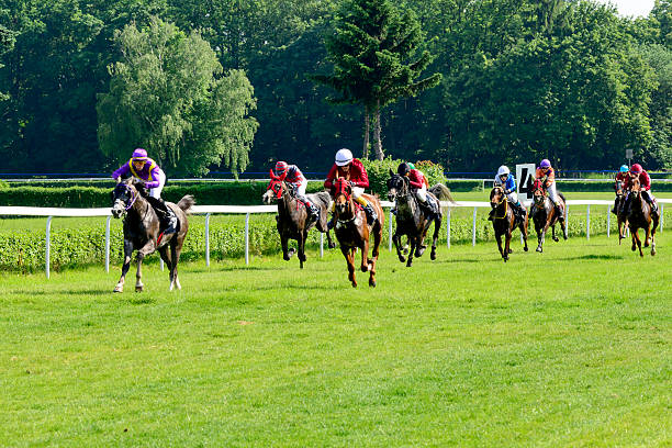 L'Hippodrome de Ligonnière