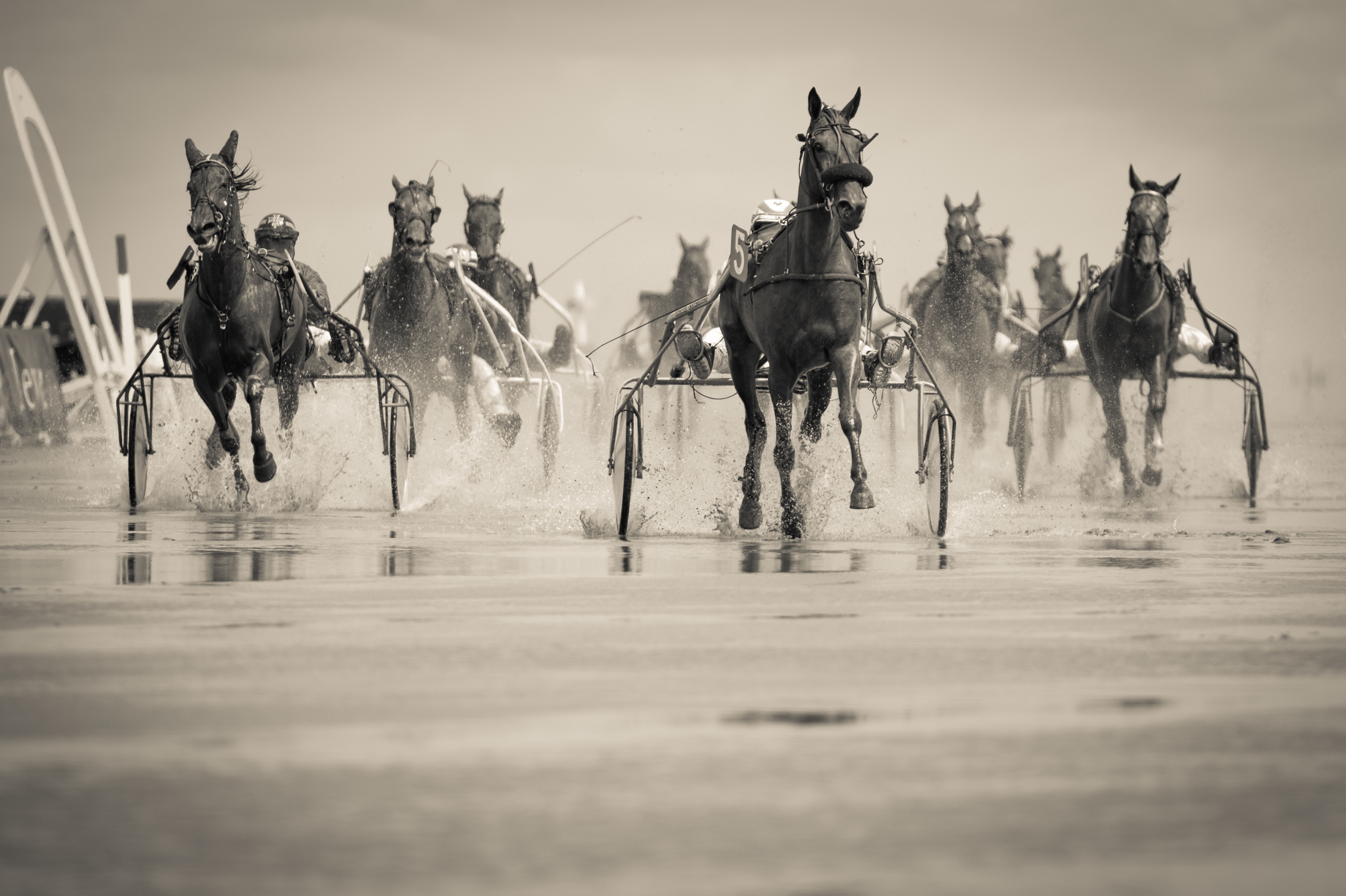 Courses Hippiques