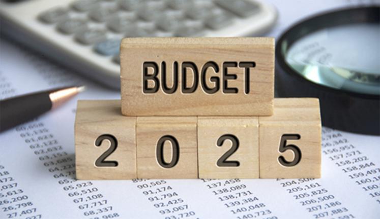 Budget Primitif 2025