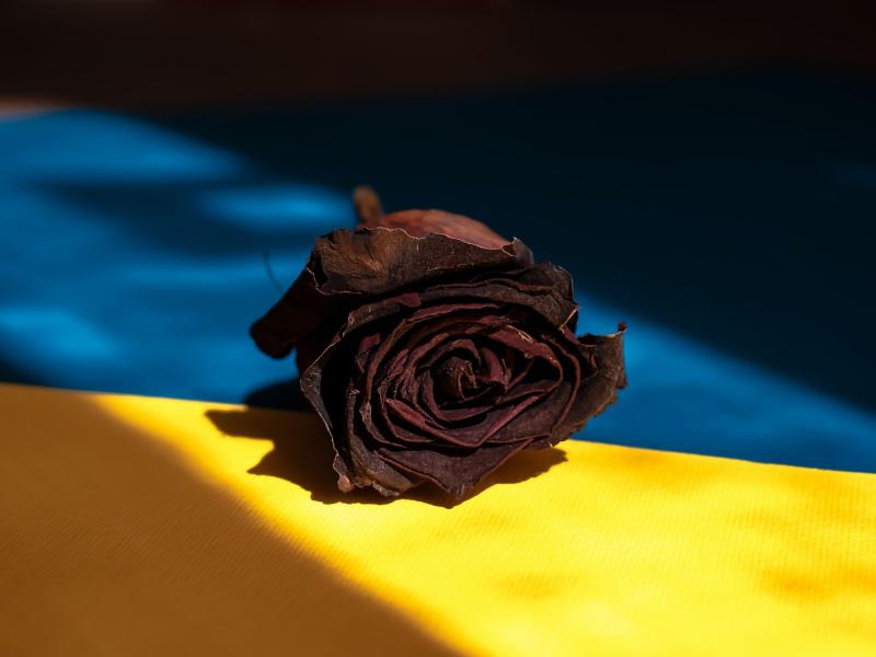 Crise humanitaire en Ukraine