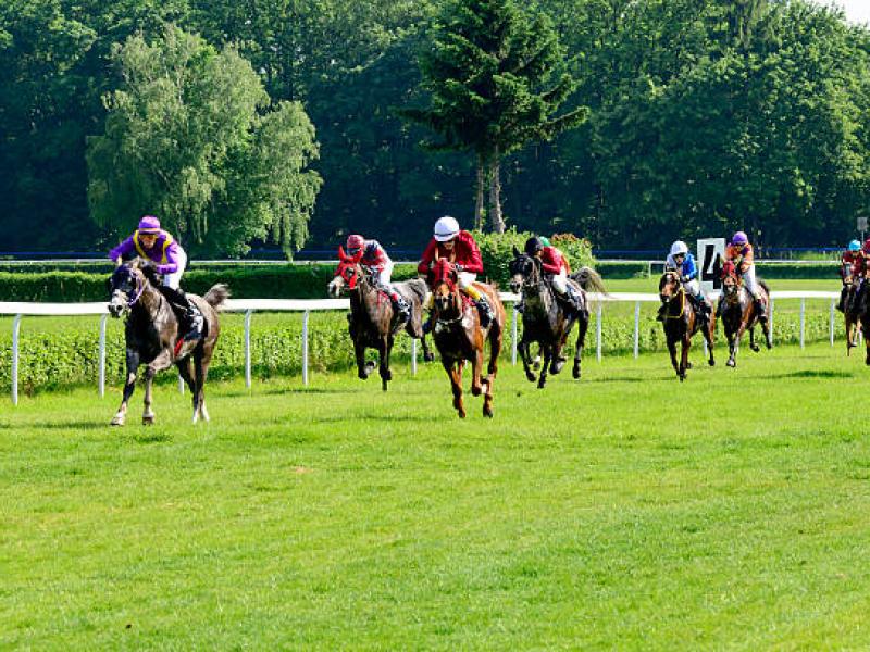 L'Hippodrome de Ligonnière