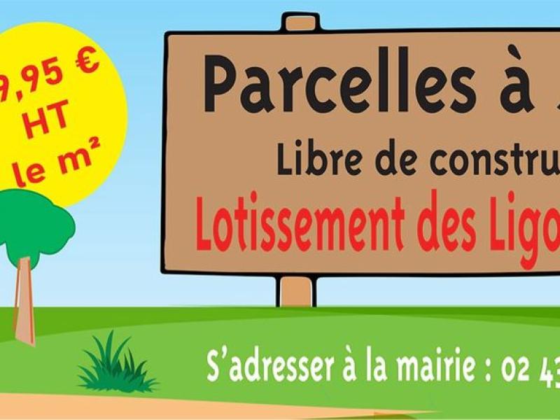 Terrains à vendre Lotissement des Ligonnières 
