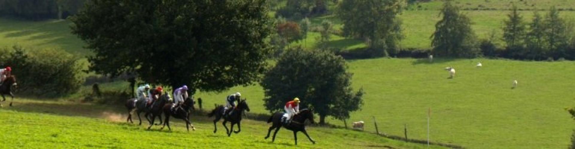 Nuillé sur Vicoin